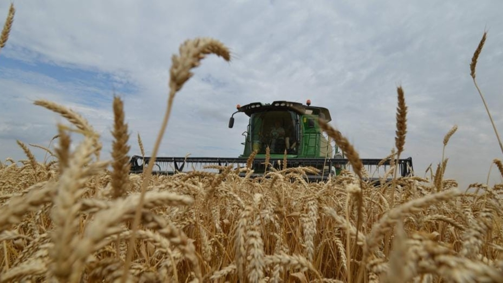 Centre Extends Wheat Procurement Relaxes Quality Norms Latest News