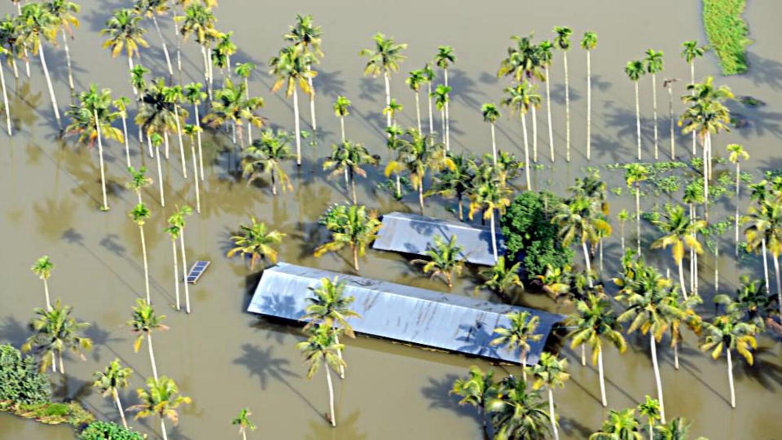 Monsoon Imd Issues Red Alert In Kerala Tamil Nadu For Next Days