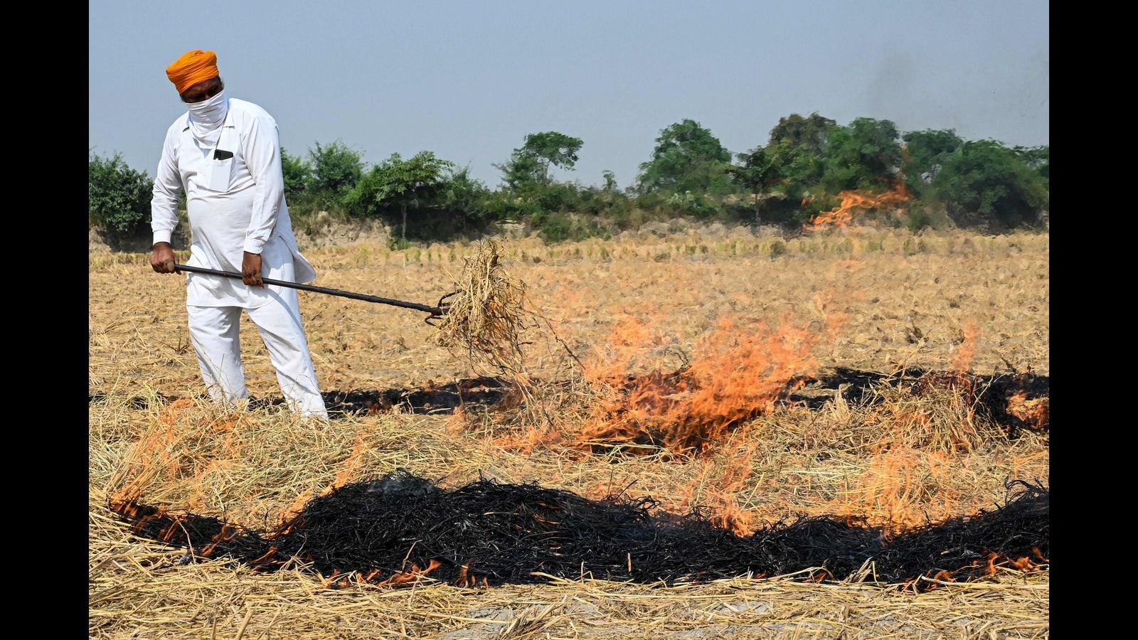 Stubble Burning Cases In Punjab From Majha Alone Hindustan Times