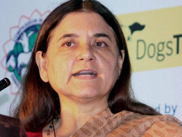 Prenatal Sex Test Maneka Issues Clarification Says Just Point Of