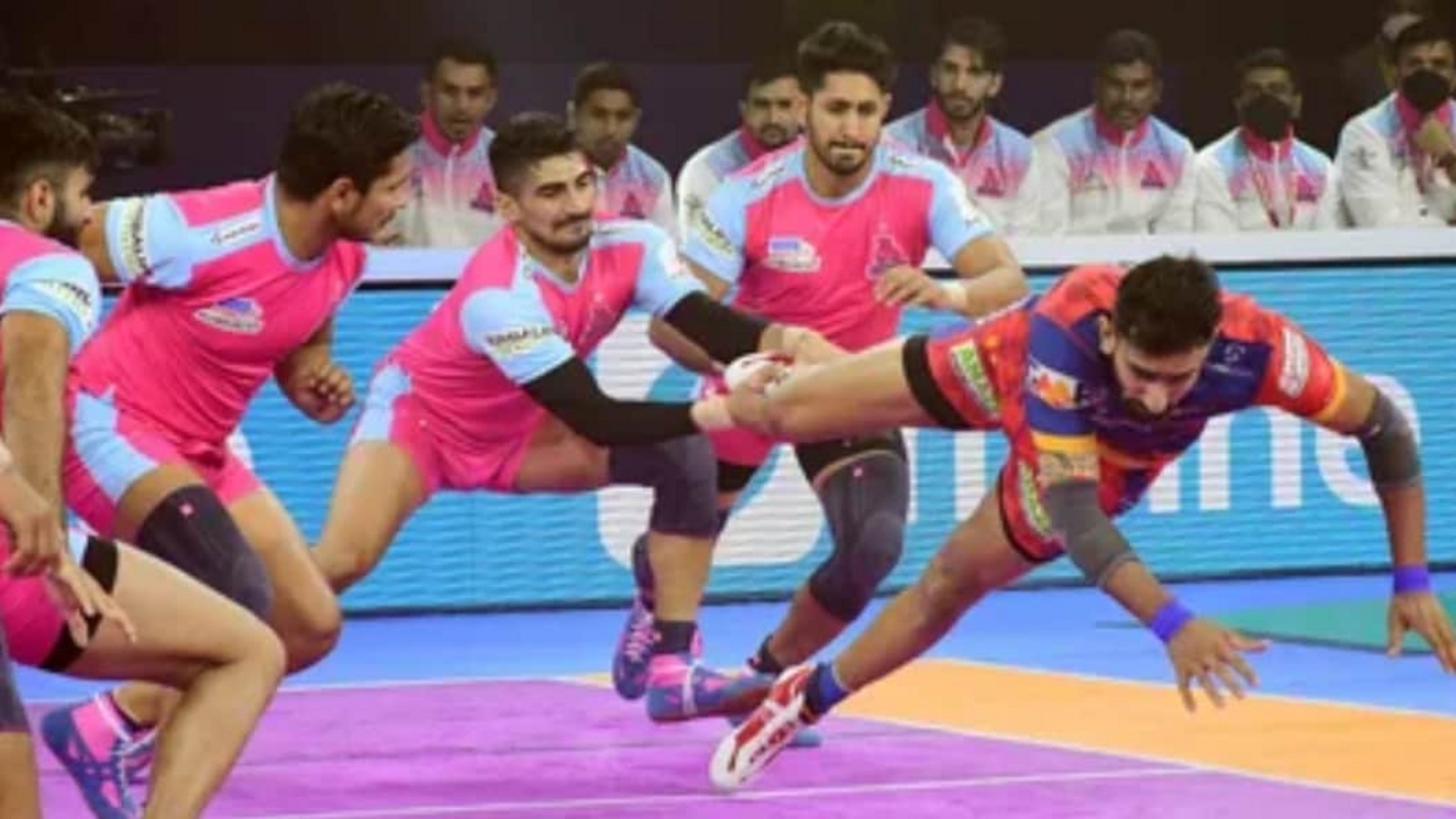 Pkl Pro Kabaddi League Live Streaming February Double Panga