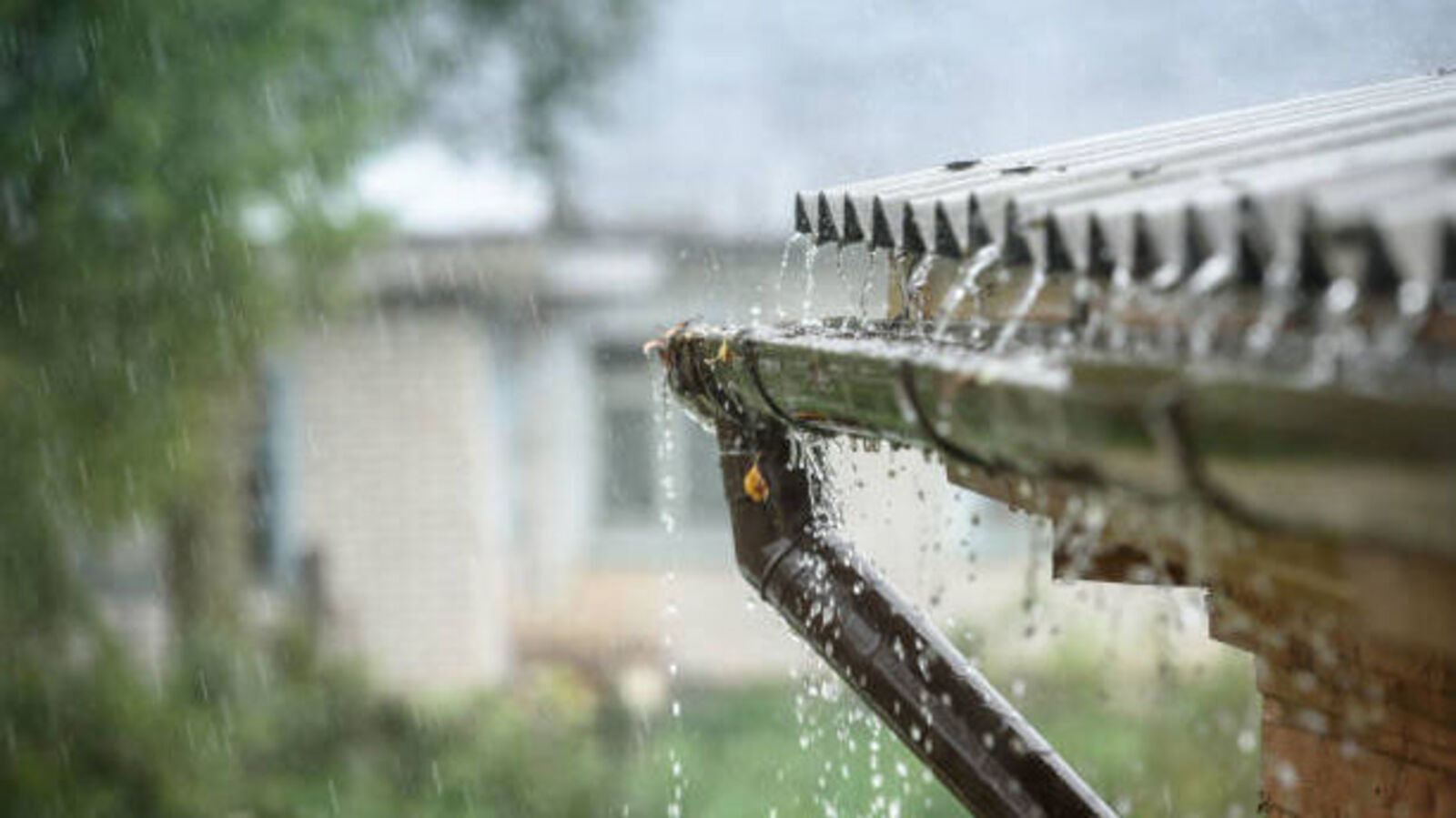TS Weather : తెలంగాణకు ఐఎండీ అలర్ట్... మరో 3 రోజులు వర్షాలు!