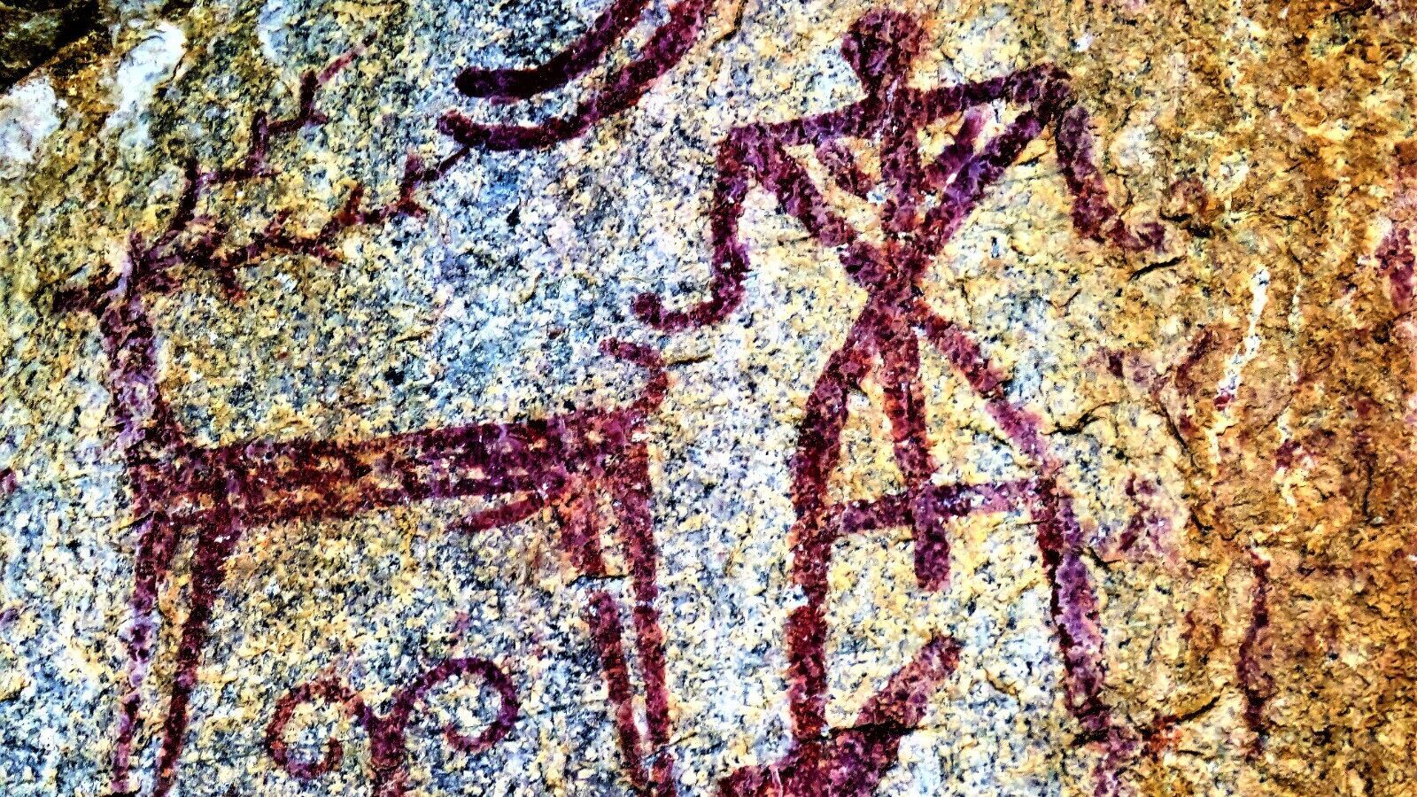 Rock Arts in Medak : మెదక్ జిల్లాలో అరుదైన పురాతన రాతి చిత్రాలు