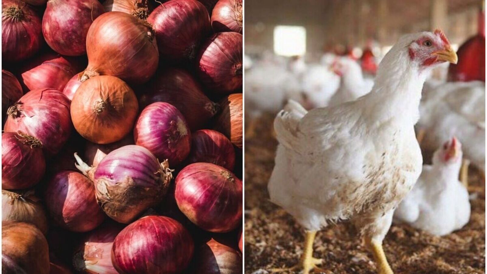 Chicken Onion Rates : కొండెక్కిన చికెన్ ధరలు, తగ్గిన ఉల్లిగడ్డ రేట్లు