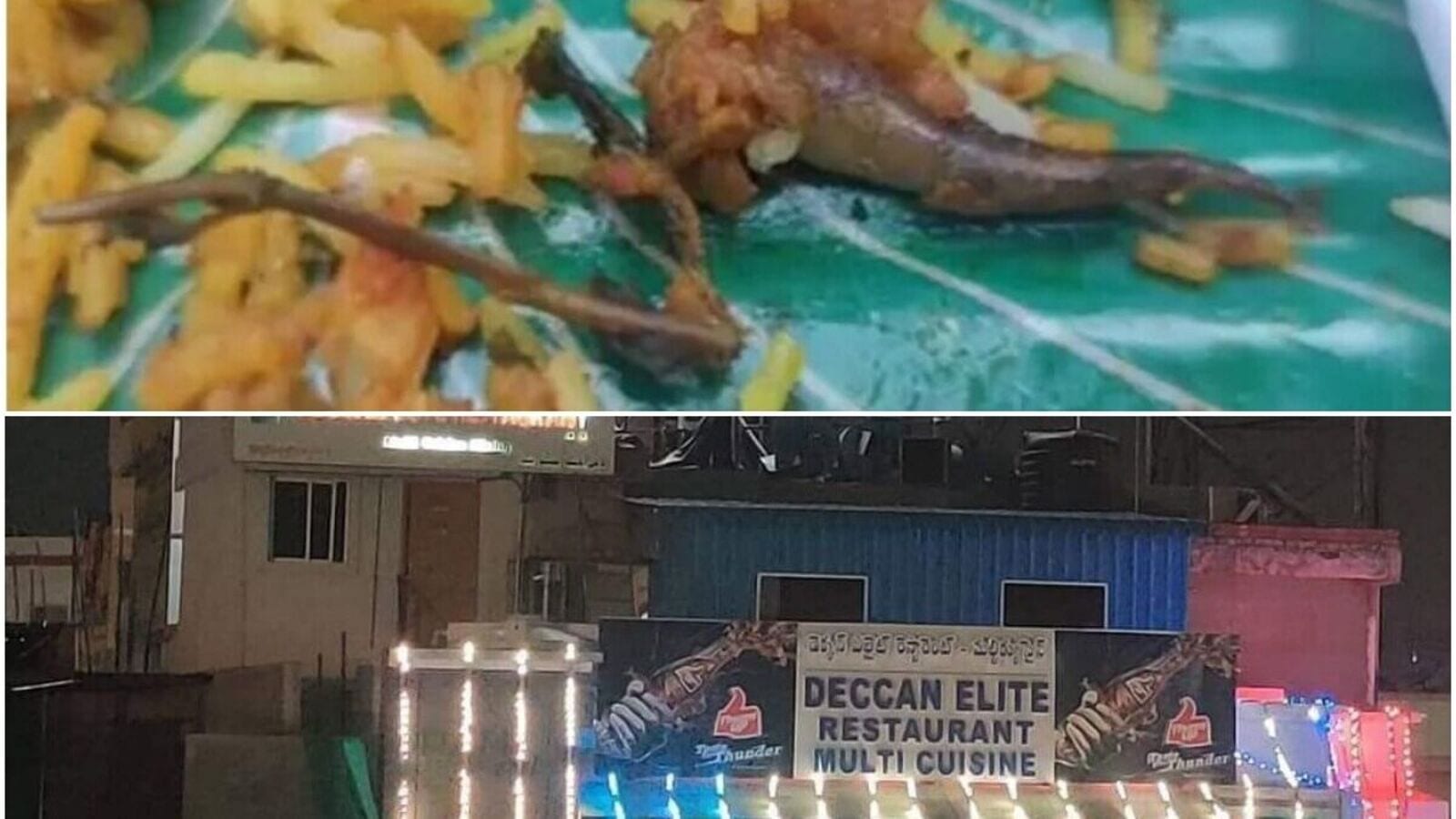 Hyderabad Biryani : హైదరాబాద్ బిర్యానీలో బల్లి, 8 మందికి అస్వస్థత!