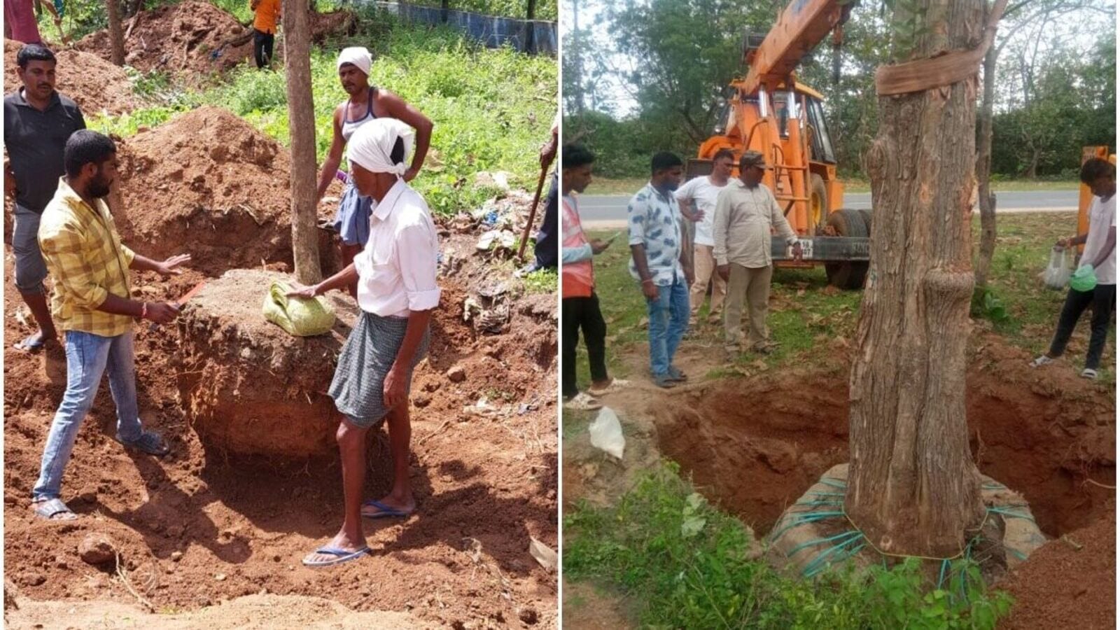 Adilabad News : అడ్డువచ్చిన చెట్లు అడవిలోకి, ట్రాన్స్ లోకేషన్ తో 200 వృక్షాలు తరలింపు!