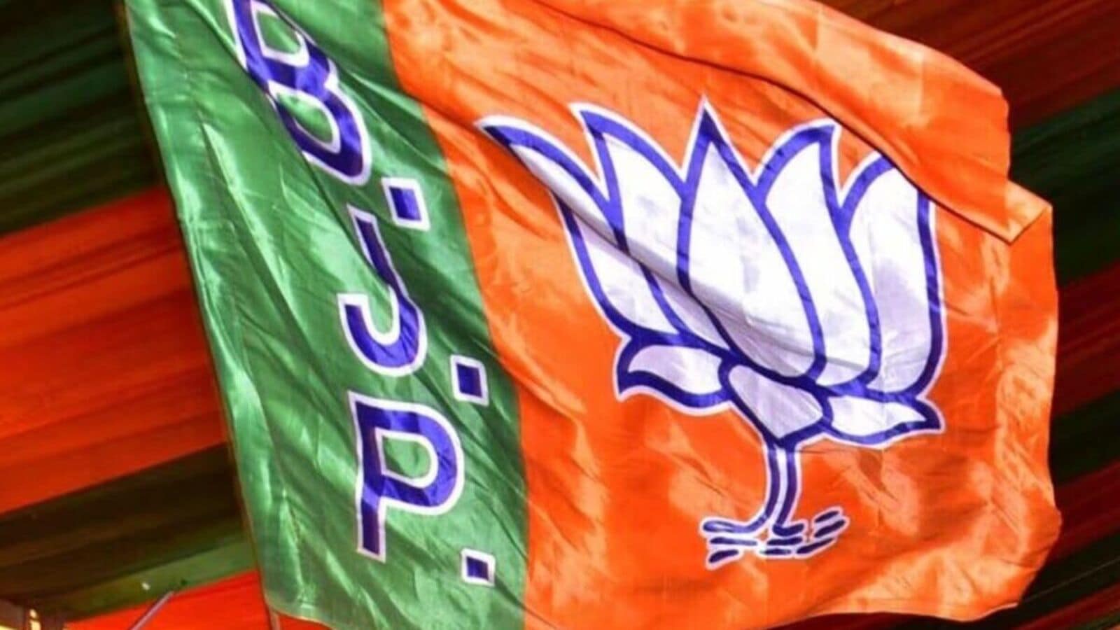 TS BJP Incharges : తెలంగాణలో లోక్ సభ స్థానాలకు బీజేపీ ఇన్ ఛార్జ్ ల నియామకం