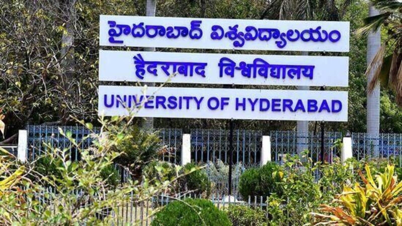 HCU Recruitment 2024 : హైదరాబాద్ సెంట్రల్ వర్శిటీలో టీచింగ్ ఉద్యోగాలు & ముఖ్య వివరాలివే