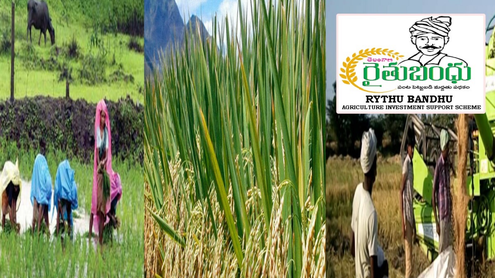 Rythu Bandhu : రైతు బంధు, రుణమాఫీపై కీలక అప్డేట్& ఈ నెలాఖరులోగా ఖాతాల్లో డబ్బులు!