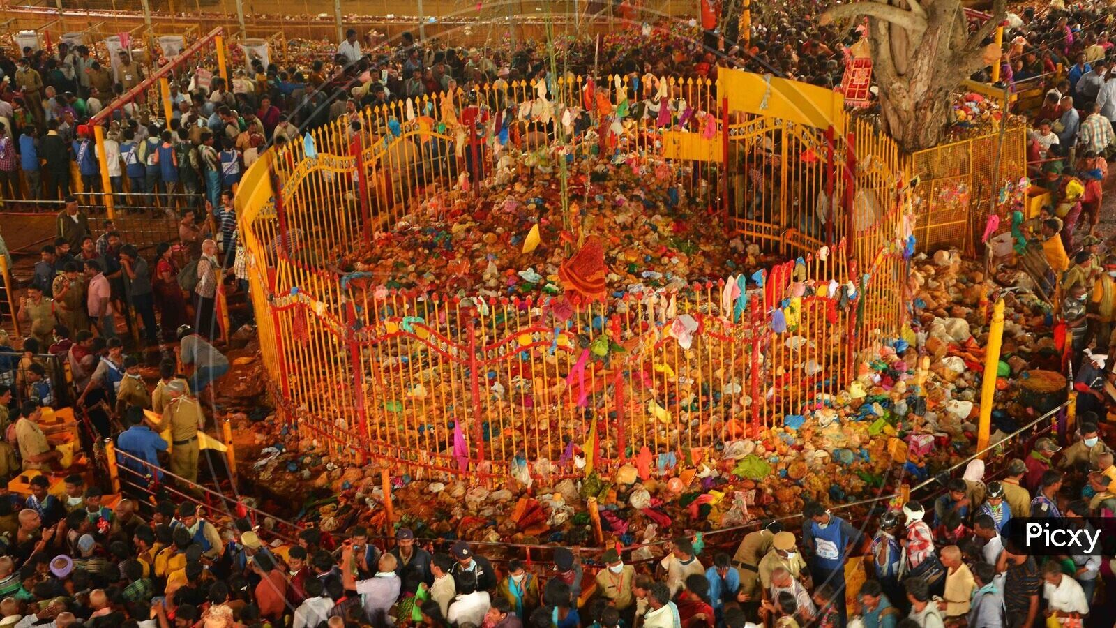 Medaram History: ఆసియాలోనే అతి పెద్ద జాతర.. సమ్మక్క సారలమ్మ జాతర ప్రాశస్త్యం