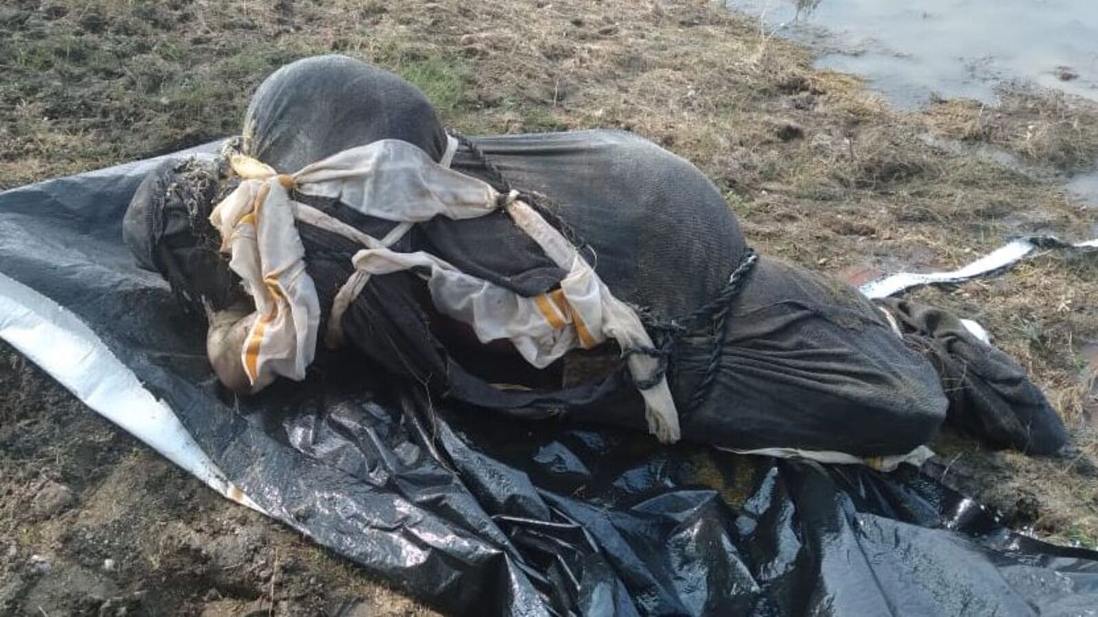 Deadbody in Manjeera: మంజీరా నదిలో గుర్తు తెలియని మహిళ మృతదేహం.. హత్యగా నిర్థారణ