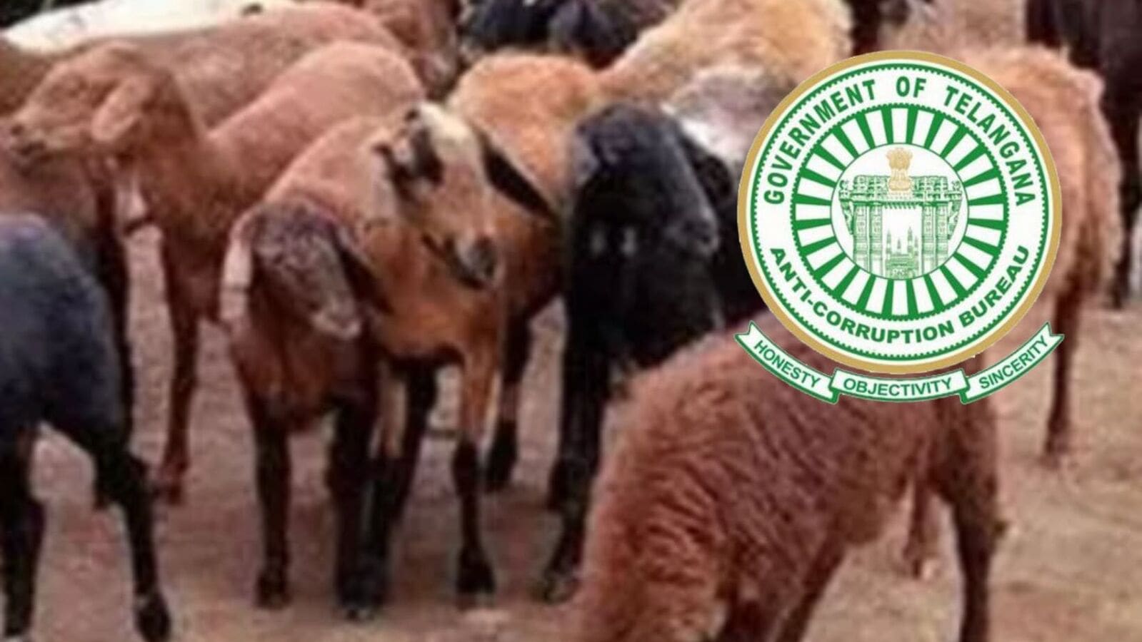 TS Sheep Distribution Scam : గొర్రెల పంపిణీ స్కామ్ & నలుగురు అధికారులు అరెస్ట్