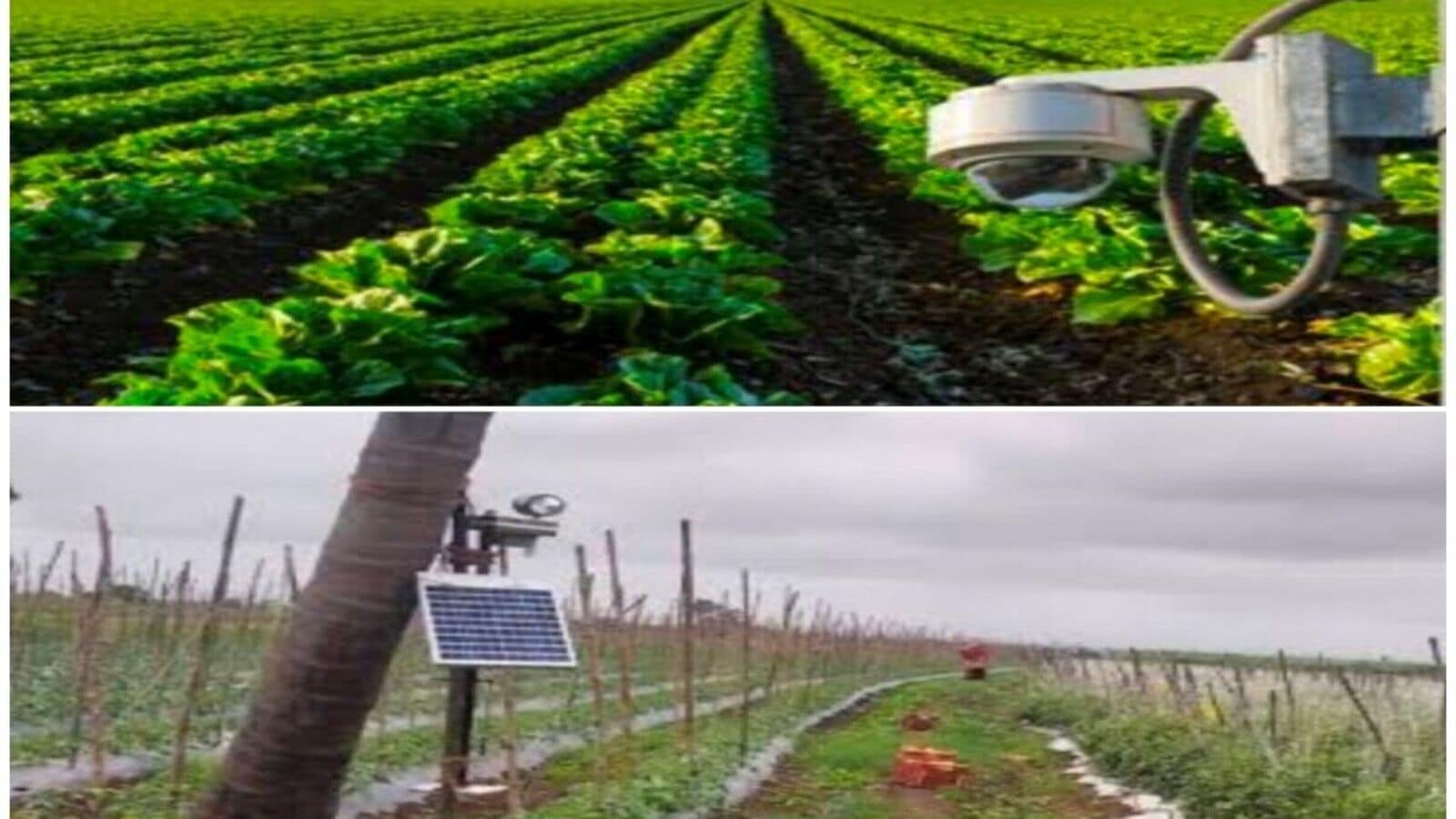 Agriculture Technology : అన్నదాతకు అండగా టెక్నాలజీ, శబ్దాలతో అడవి జంతువులు పరార్!