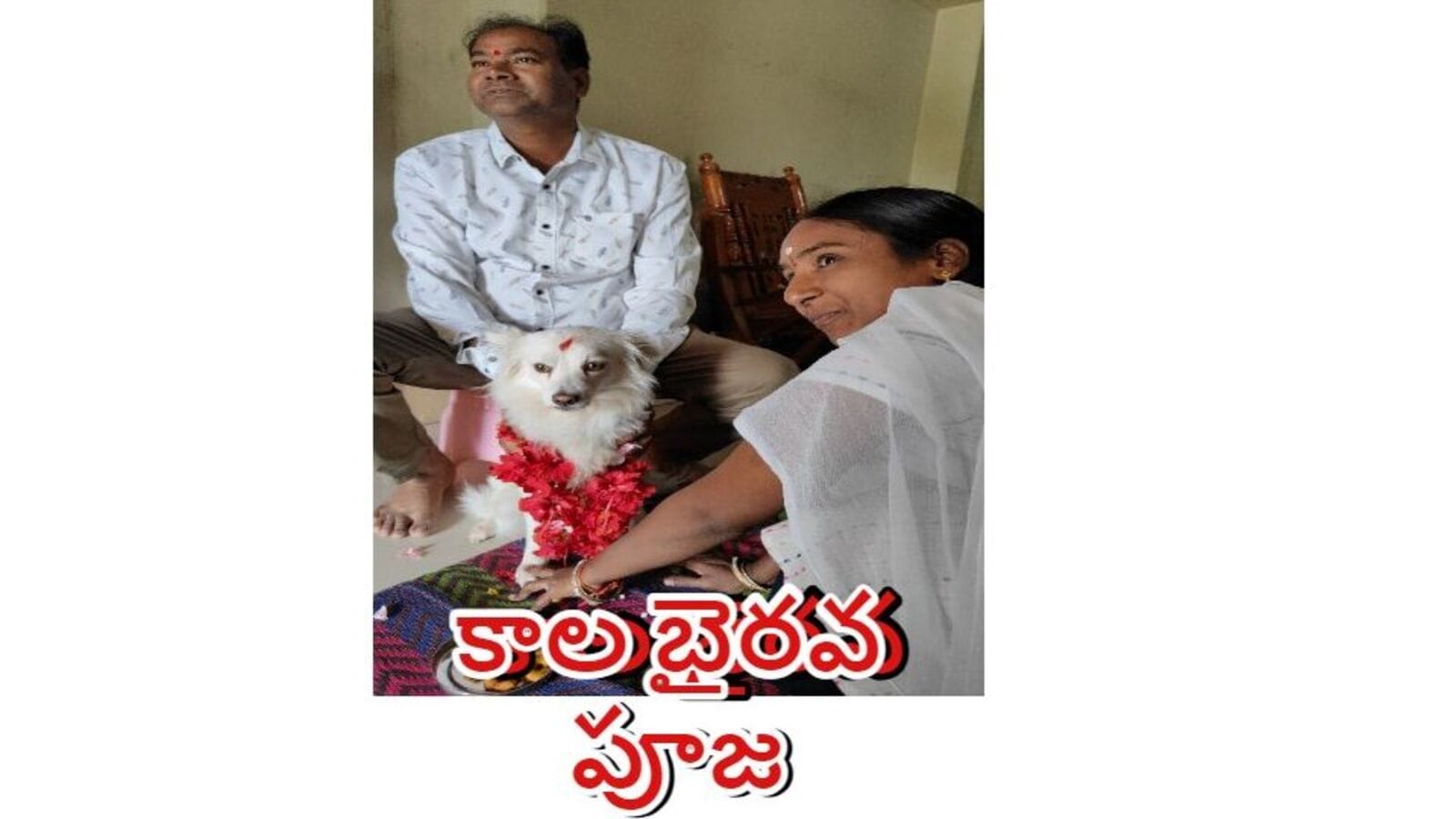 Jagityal Tradition: జగిత్యాలలో వింత సాంప్రదాయం.. కాశీ యాత్ర తర్వాత శునకానికి కాలభైరవ పూజ