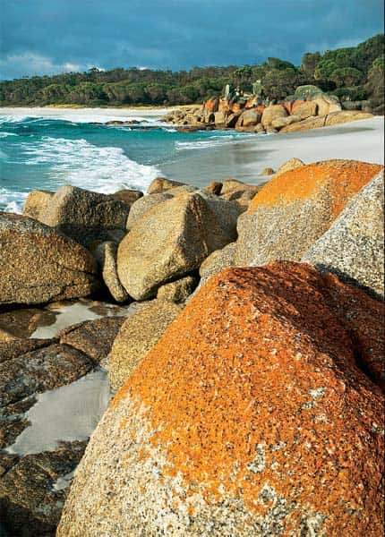 The Bay of Fires The Bay of Fires
