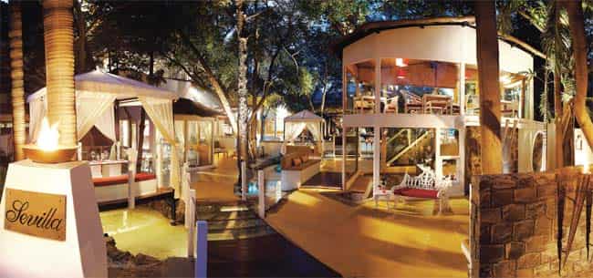 SNIFF THEM OUT Now there are many opportunities to eat truffles at places such as Sevilla, the Mediterranean restaurant at Delhi’s Claridges which has truffles on the menu