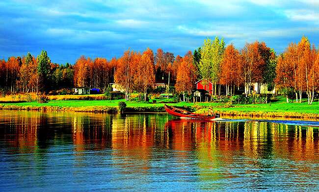 The fall of the leaf: In autumn, the trees are a myriad of colours The fall of the leaf: In autumn, the trees are a myriad of colours