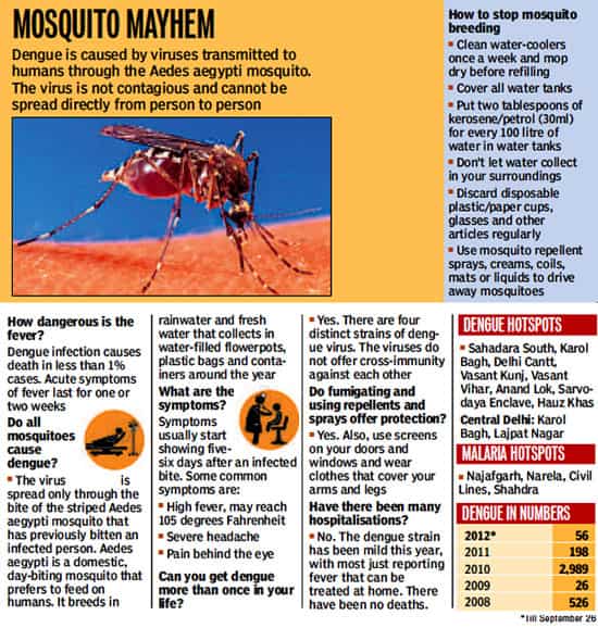 Article image Article image
