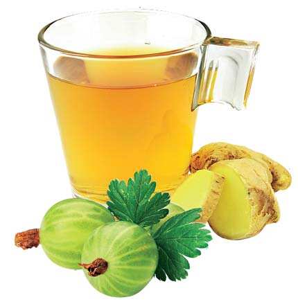 Natural Herbs: Remedies such as amla juice and ginger decoctions help slash the fat Natural Herbs: Remedies such as amla juice and ginger decoctions help slash the fat