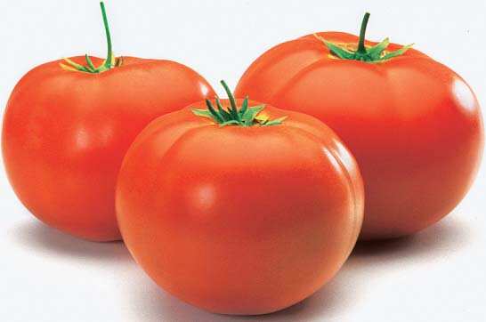 Article image Article image