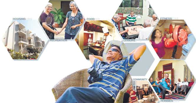 Article image Article image