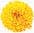 Article image Article image