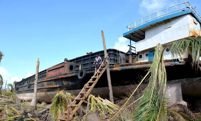 This photo shows Richard Rama descending from the barge washed ashore amongst coconut trees at the height of super Typhoon Haiyan in Quinapundan, central Philippines. (AFP Photo)</strong></em)
