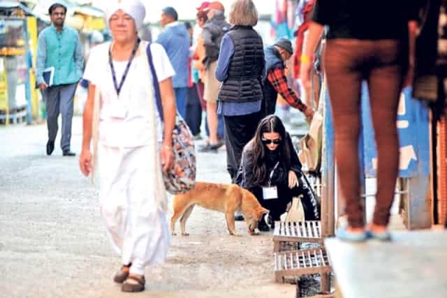 Demi feeds a street dog