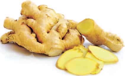 HEALING TOUCH: Ginger controls and subdues flatulence and cleans the liver. HEALING TOUCH: Ginger controls and subdues flatulence and cleans the liver.