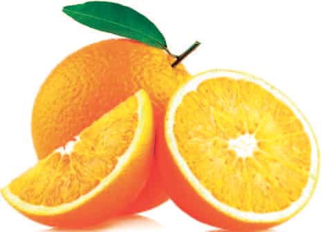 Article image Article image