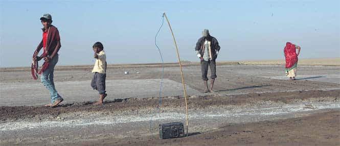 Entire families, children included, work the land in the scorching heat. First, they dig 45 metres to 50 metres into the hard soil until they reach the saline groundwater. They then build small bunds, enclosing large areas where the saline water is left to evaporate, leaving behind little piles of crystalline salt. With no TV or other entertainment channels, the radio is a common sight at worksites and in homes. (HT photo) 
</div)