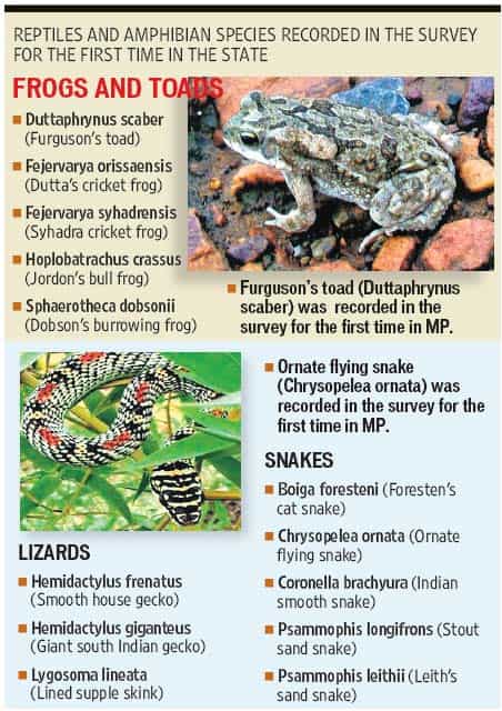 Article image Article image