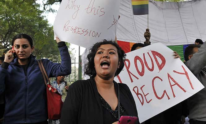 Protesters wave their banners of pride (HT Photo) Protesters wave their banners of pride (HT Photo)