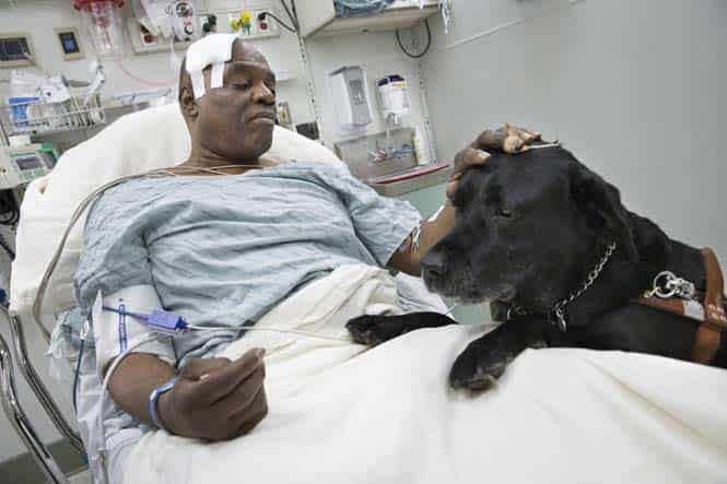 Cecil Williams pets his guide dog, Orlando, in his hospital bed following a fall onto subway tracks from the platform in New York. (AP Photo)</em) Cecil Williams pets his guide dog, Orlando, in his hospital bed following a fall onto subway tracks from the platform in New York. (AP Photo)</em)