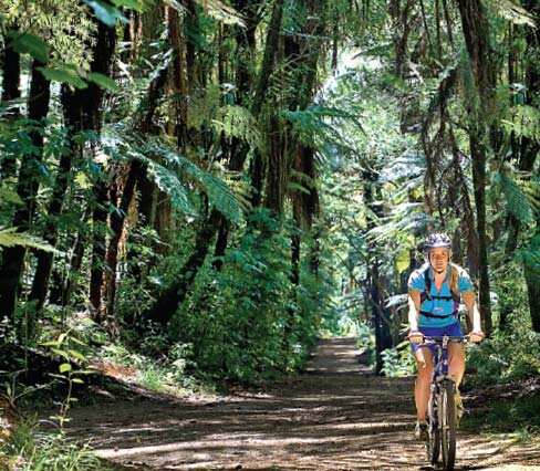 Pedal hard: Queenstown is a perfect cycling destination Pedal hard: Queenstown is a perfect cycling destination