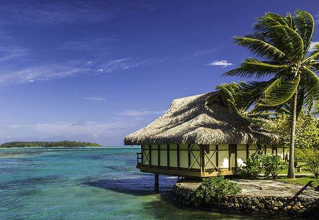 Moorea island, French Polynesia. Photo: AFP/Sebastien Burel/Shutterstock.com Moorea island, French Polynesia. Photo: AFP/Sebastien Burel/Shutterstock.com