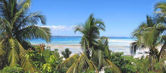 Nosy Be, Antsiranana Province, Madagascar. Photo: AFP/Pozzo Di Borgo Thomas/shutterstock.com Nosy Be, Antsiranana Province, Madagascar. Photo: AFP/Pozzo Di Borgo Thomas/shutterstock.com