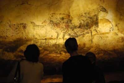 Famed French cave paintings on exhibit in Chicago - Hindustan Times