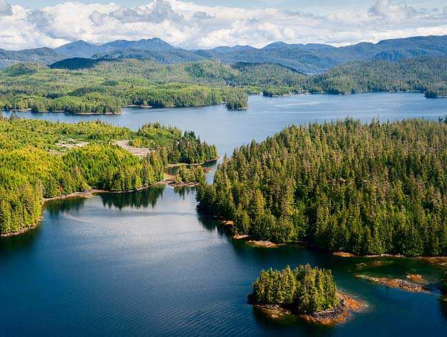 Photo: AFP/Andrea Izzotti/shutterstock.com