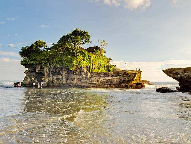 Photo: AFP/liseykina/shutterstock.com