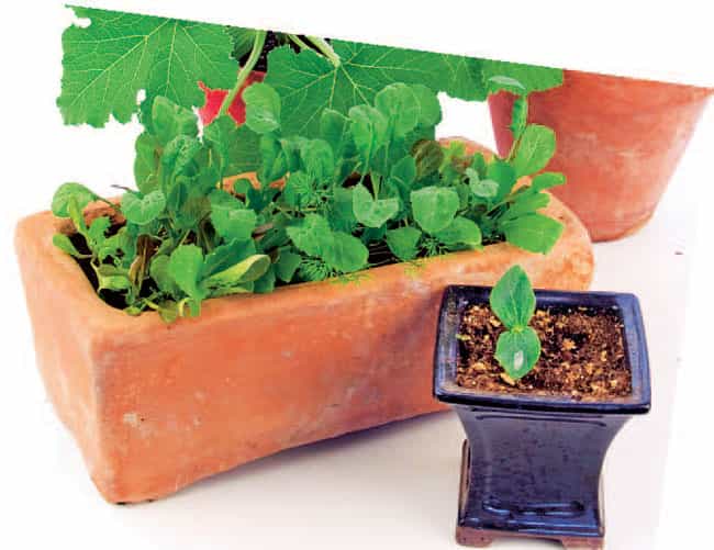 Article image Article image