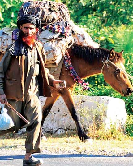 On the move: A nomad family near Chingus On the move: A nomad family near Chingus
