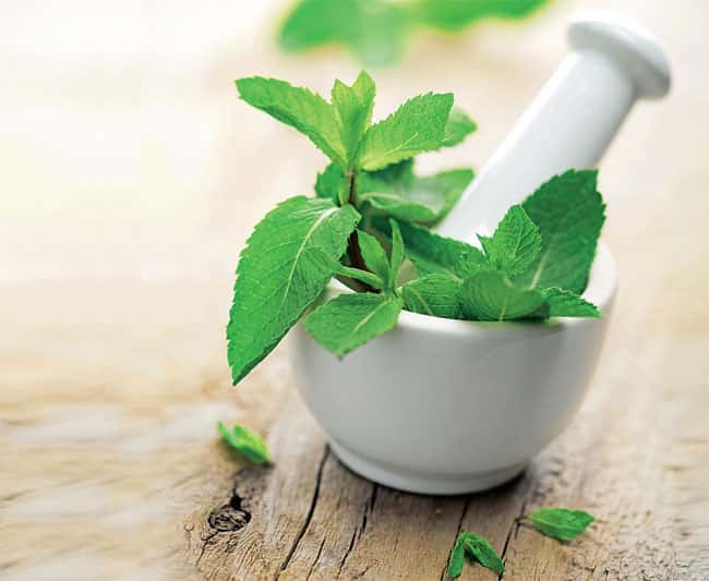 Article image Article image