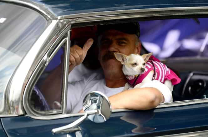 In pics: Classic car parade in Mexico sets world record