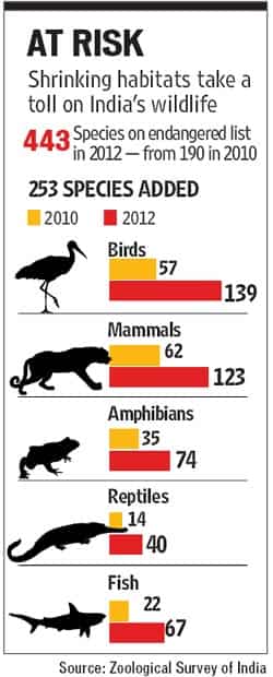 India's wildlife at risk, endangered species list doubles in 2 yrs | Latest News India - Hindustan Times India's wildlife at risk, endangered species list doubles in 2 yrs | Latest News India - Hindustan Times