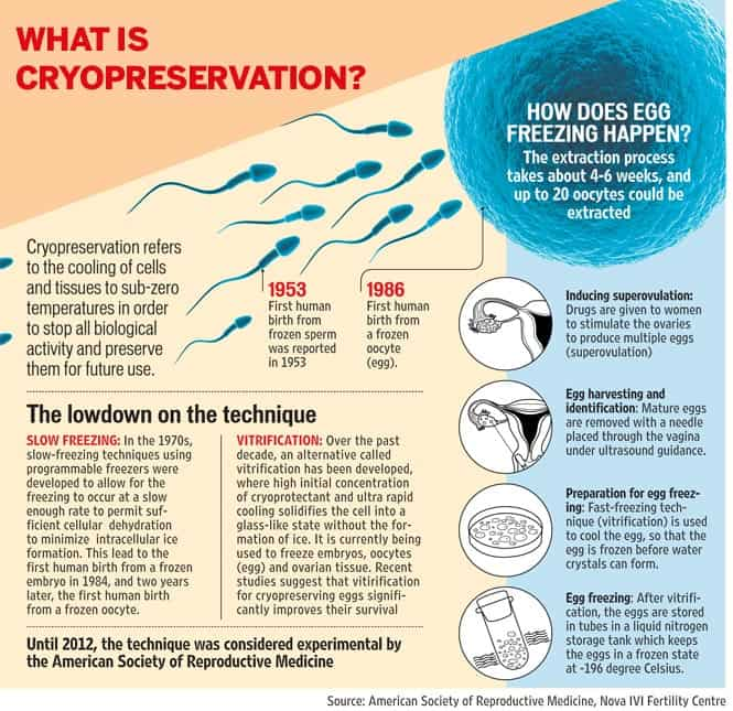 Thinking Of Freezing Your Eggs It S Not That Simple Hindustan Times