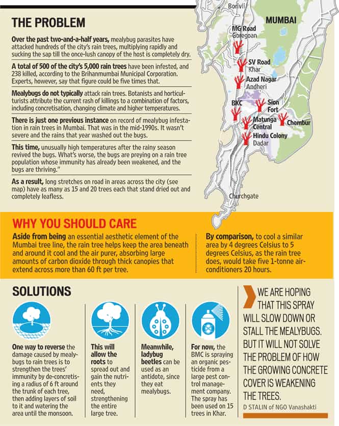 Article image Article image
