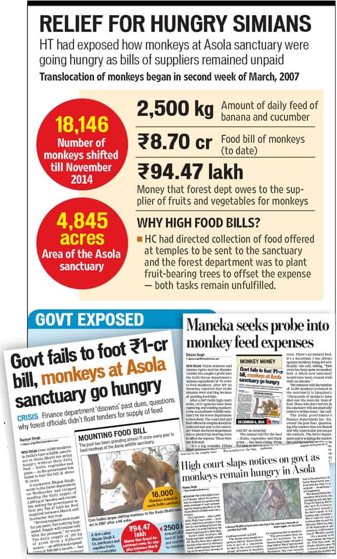 Article image Article image