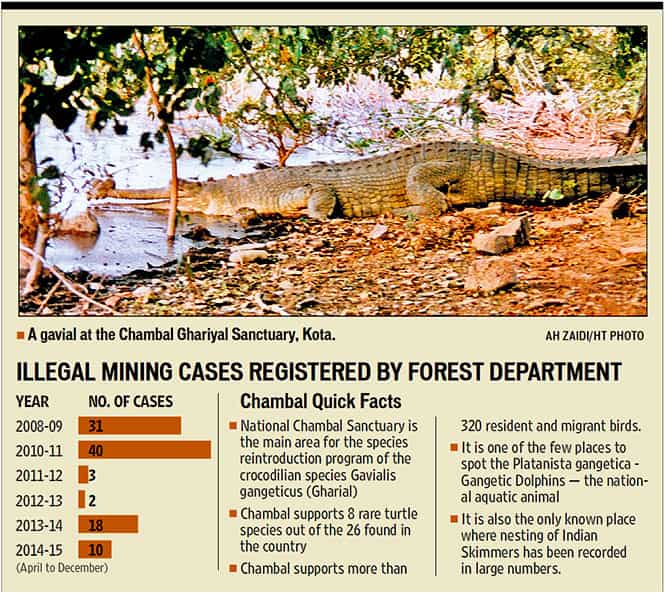 Article image Article image