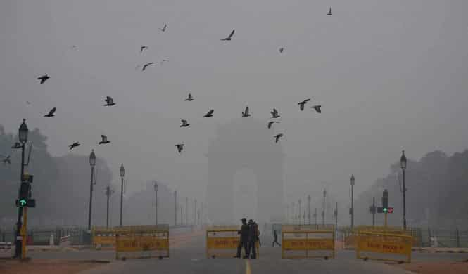 In pics: Cold wave continues in north India | Latest News India ...